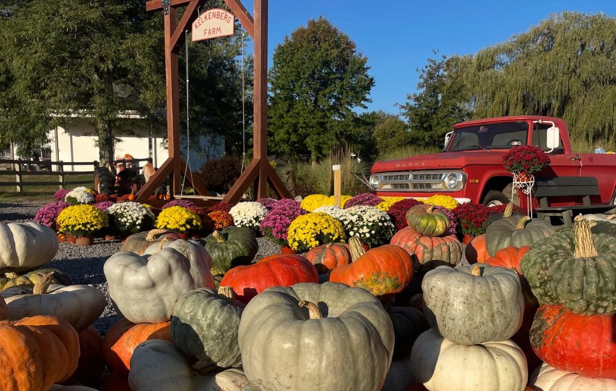 Four Western New York Pumpkin Patches Named Among Upstate’s Best